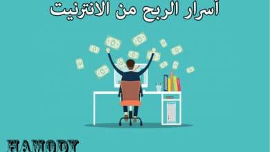 ربح المال من الانترنيت