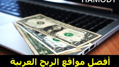 الربح من الانترنيت